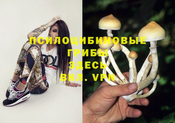 COCAINE Абаза