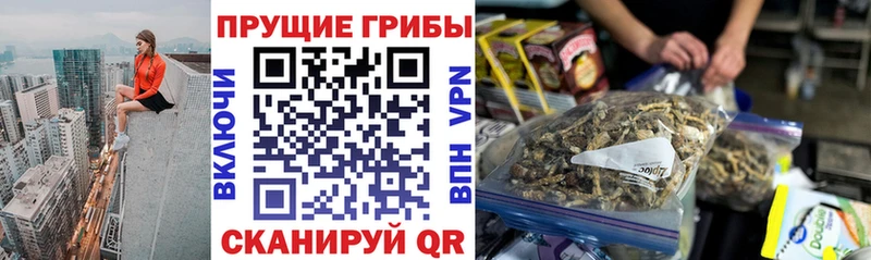 Галлюциногенные грибы мухоморы  дарнет шоп  Протвино 